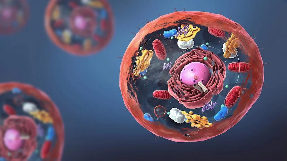 Biochemiczne podstawy życia komórki